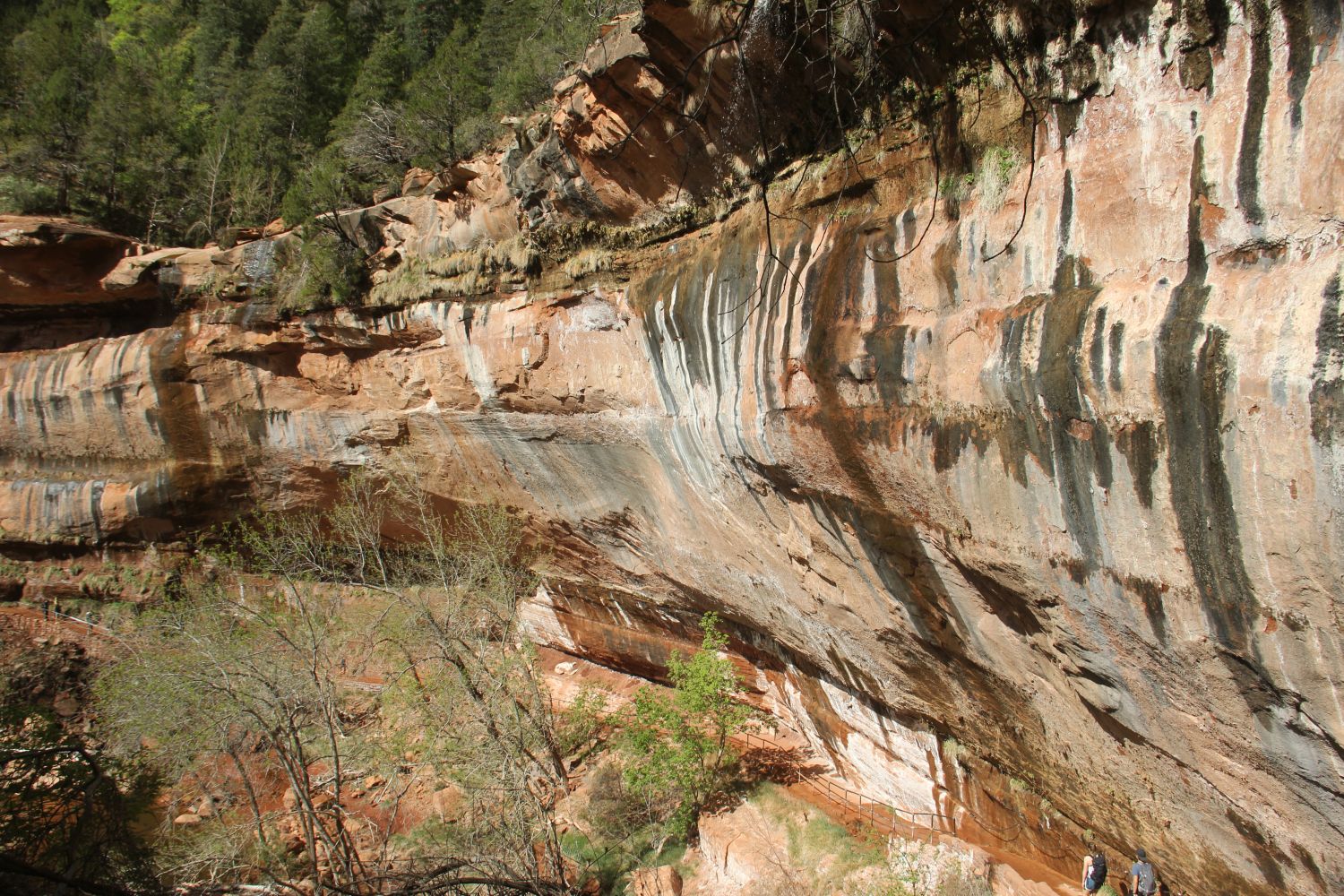 Lower & Upper Emerald & Kayenta Trails 